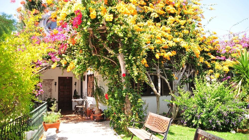 Bed and Breakfast Uma Casa A Beira Sol Лагуш Екстер'єр фото
